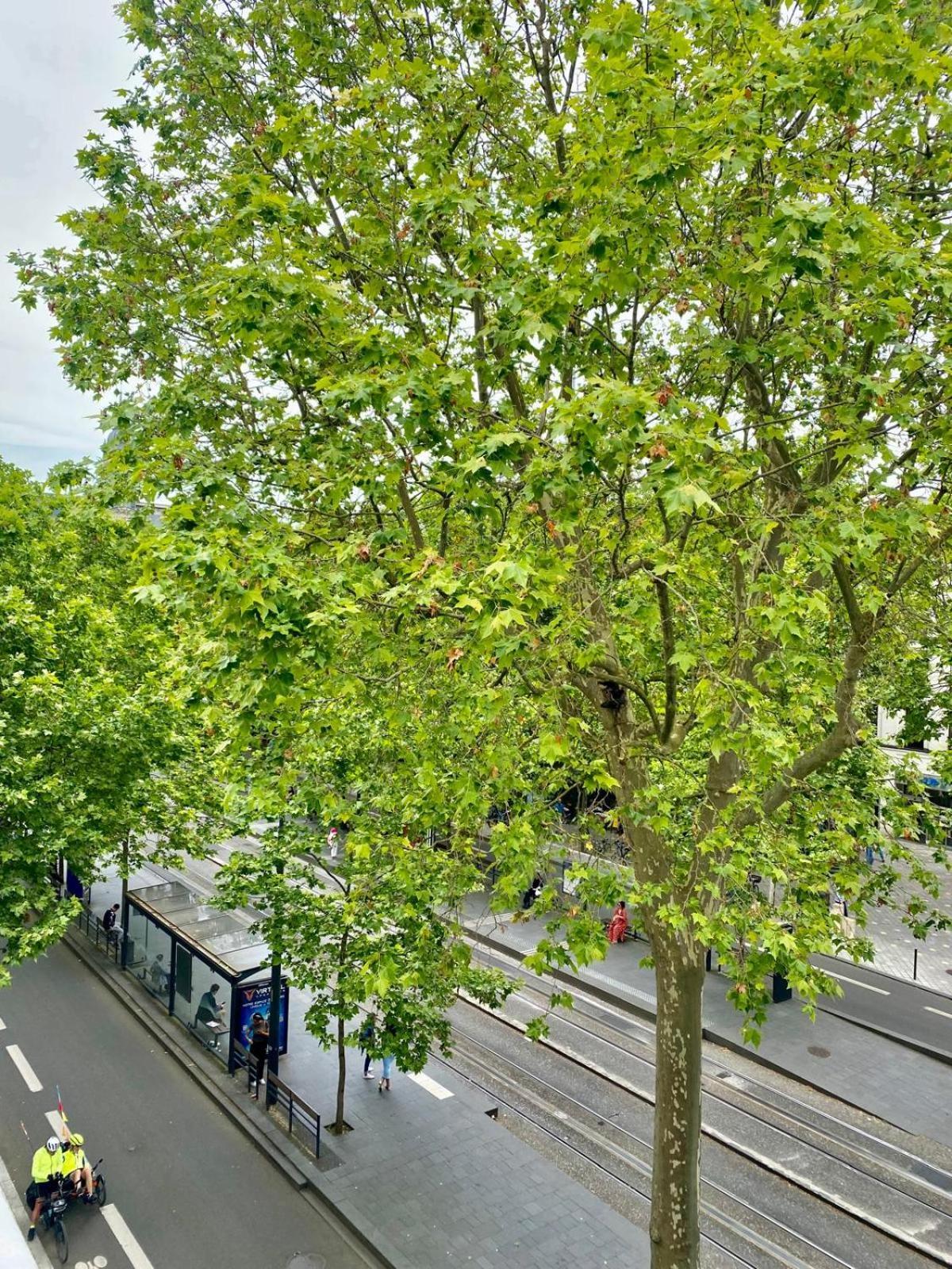 Apartamento Logement Hyper Centre Jean-Jaures Tours Exterior foto